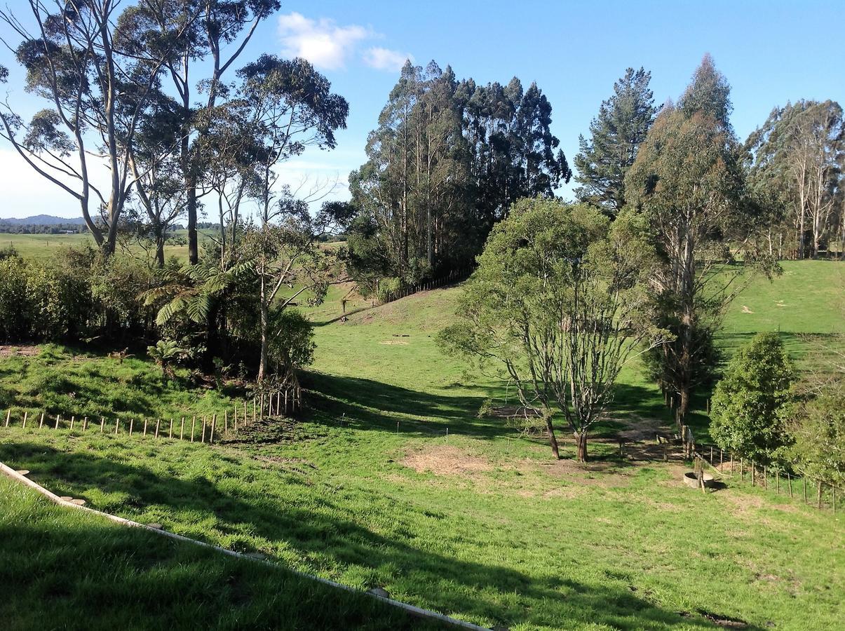 Rolling Hills Country Stay B&B Tauranga Ngoại thất bức ảnh