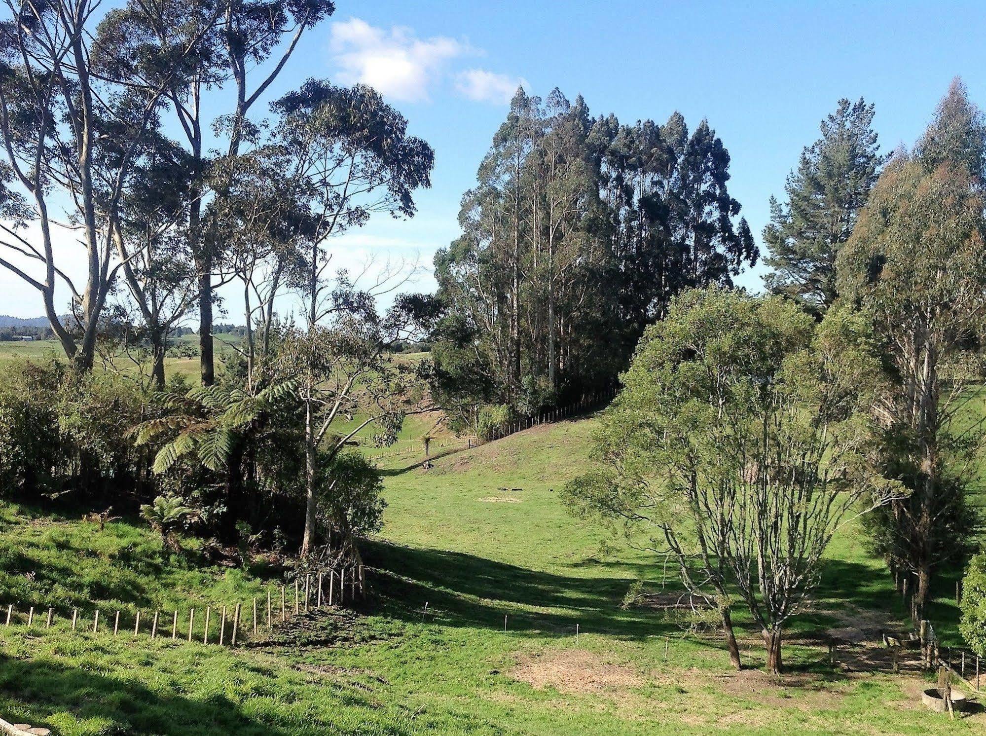 Rolling Hills Country Stay B&B Tauranga Ngoại thất bức ảnh